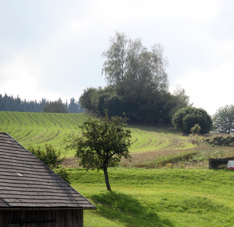 Ferienhof Stanzl Rappottenstein Экстерьер фото